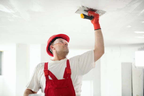 Trusted Georgetown, SC Mold Removal Experts
